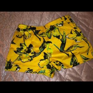 JCrew Collection Women’s Shorts